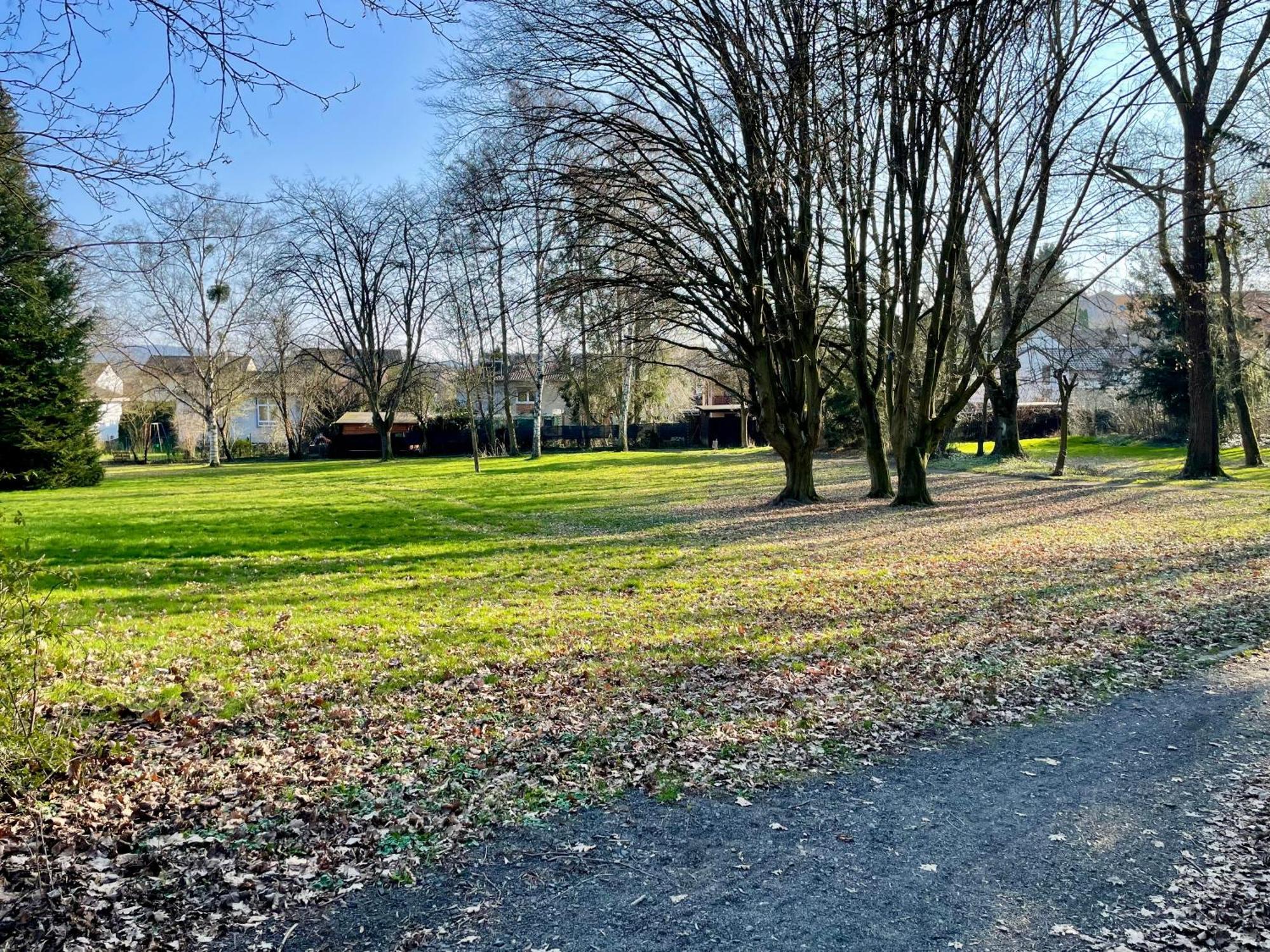 Apartment By The Park, For Bike Lovers Alsfeld Buitenkant foto
